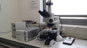 Mikroskop (Eclipse LV100ND) mit Heiz/Kühltisch (LTS420)